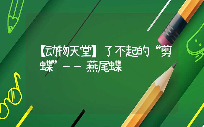 【动物天堂】了不起的“剪纸蝶”——燕尾蝶