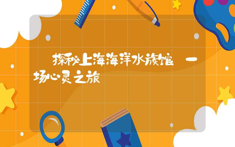【探秘上海海洋水族馆：一场心灵之旅】