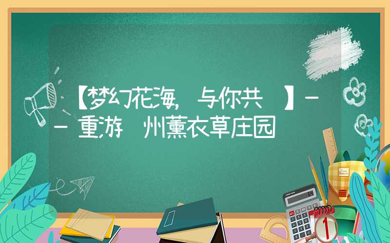 【梦幻花海，与你共赏】——重游郑州薰衣草庄园