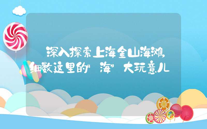 【深入探索上海金山海滩，细数这里的“海”大玩意儿】