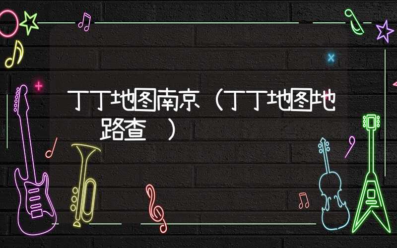 丁丁地图南京（丁丁地图地铁线路查询）