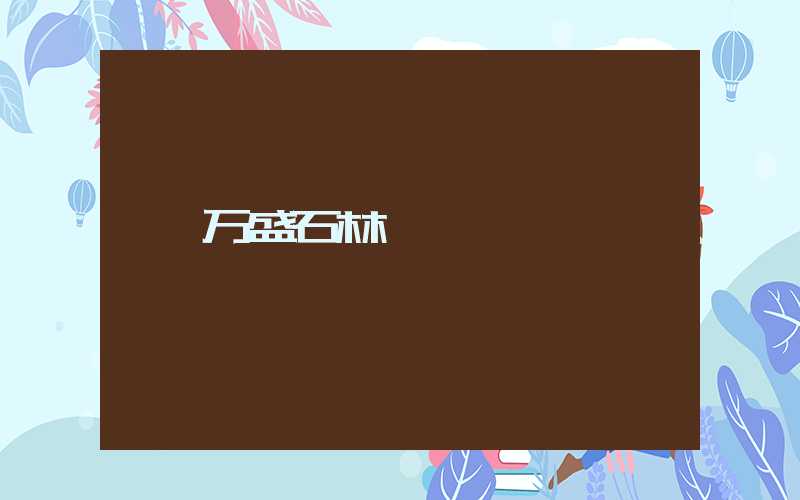 万盛石林