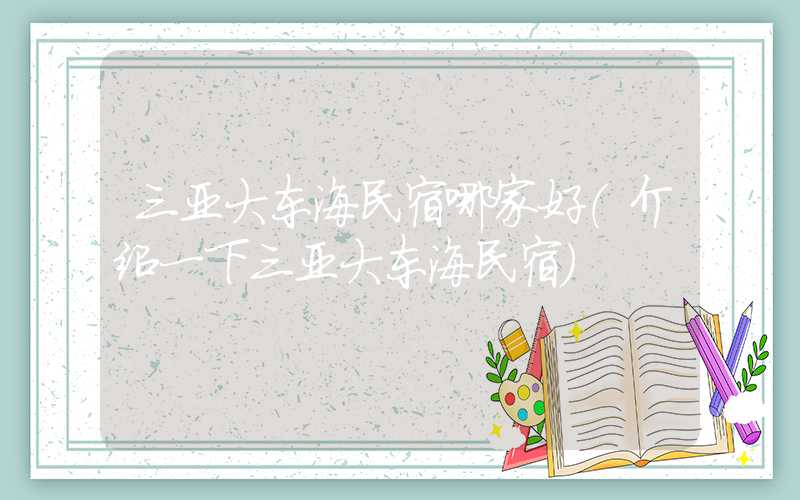 三亚大东海民宿哪家好（介绍一下三亚大东海民宿）