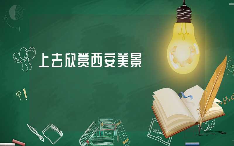 上去欣赏西安美景