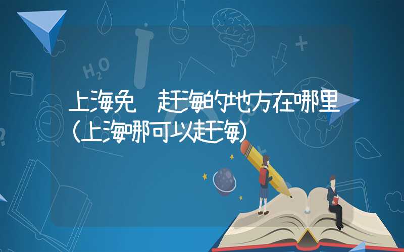 上海免费赶海的地方在哪里（上海哪可以赶海）