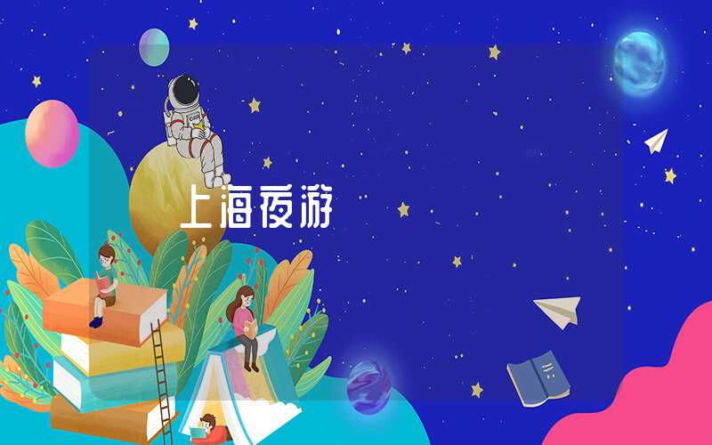 上海夜游