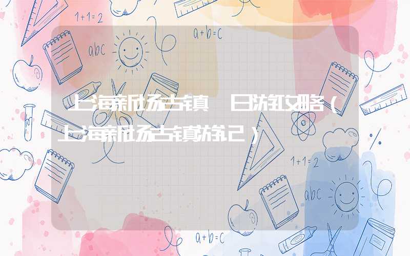 上海新场古镇一日游攻略（上海新场古镇游记）