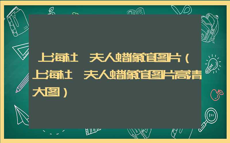 上海杜莎夫人蜡像馆图片（上海杜莎夫人蜡像馆图片高清大图）