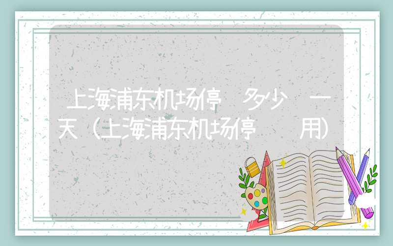 上海浦东机场停车多少钱一天(上海浦东机场停车费用)
