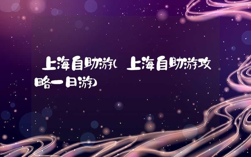 上海自助游（上海自助游攻略一日游）