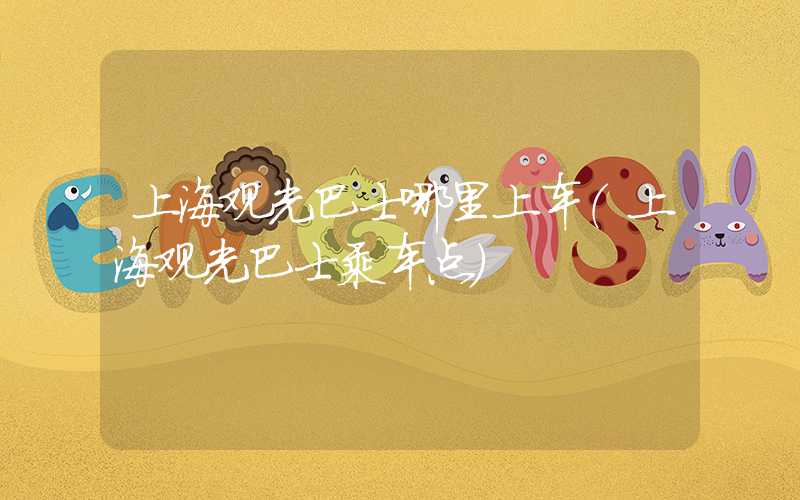 上海观光巴士哪里上车（上海观光巴士乘车点）