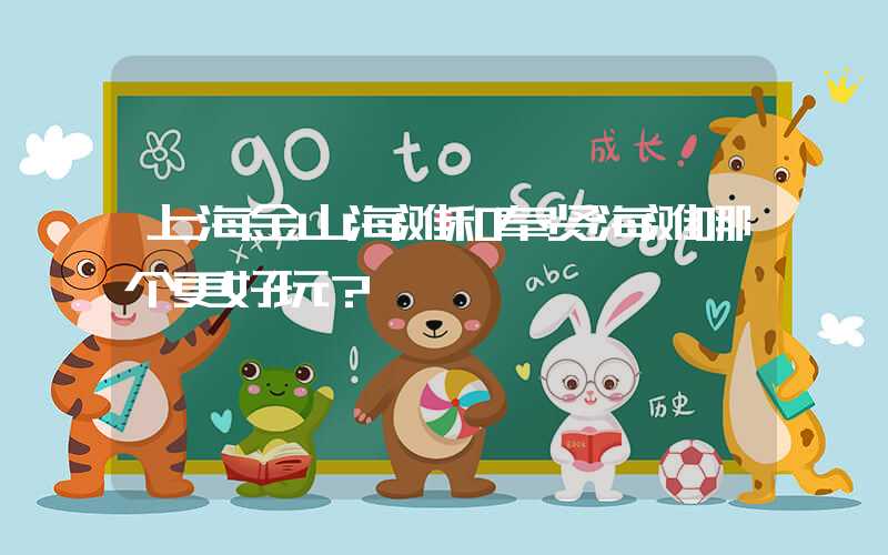上海金山海滩和奉贤海滩哪个更好玩?