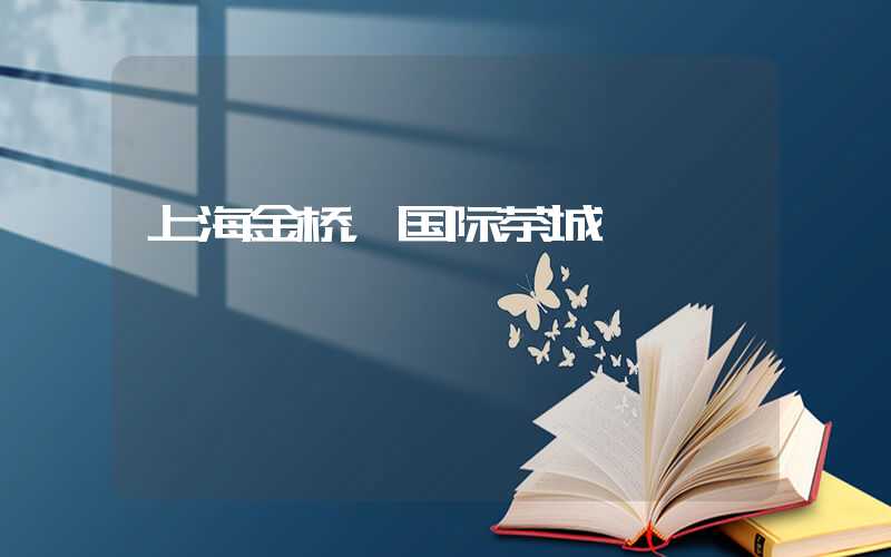 上海金桥，国际茶城