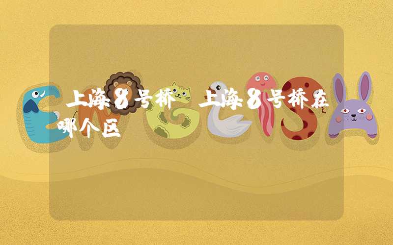 上海8号桥（上海8号桥在哪个区）