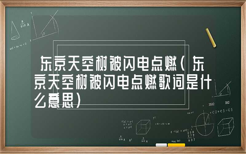 东京天空树被闪电点燃（东京天空树被闪电点燃歌词是什么意思）