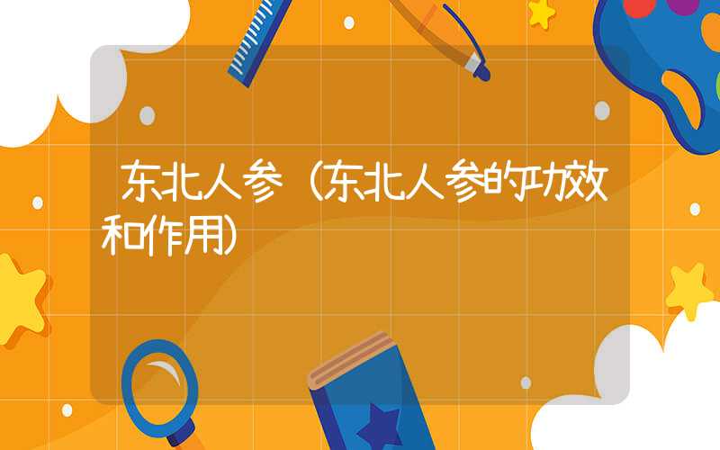 东北人参（东北人参的功效和作用）