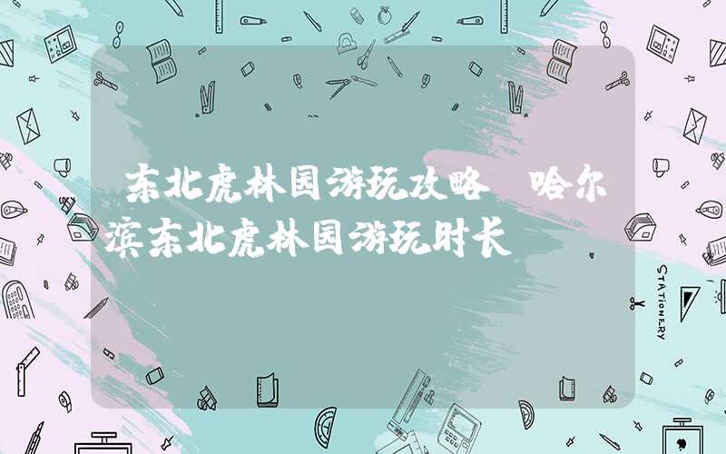 东北虎林园游玩攻略（哈尔滨东北虎林园游玩时长）