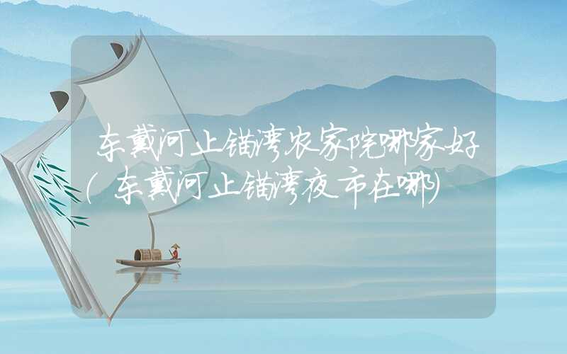 东戴河止锚湾农家院哪家好（东戴河止锚湾夜市在哪）