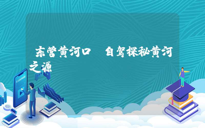 东营黄河口：自驾探秘黄河之源