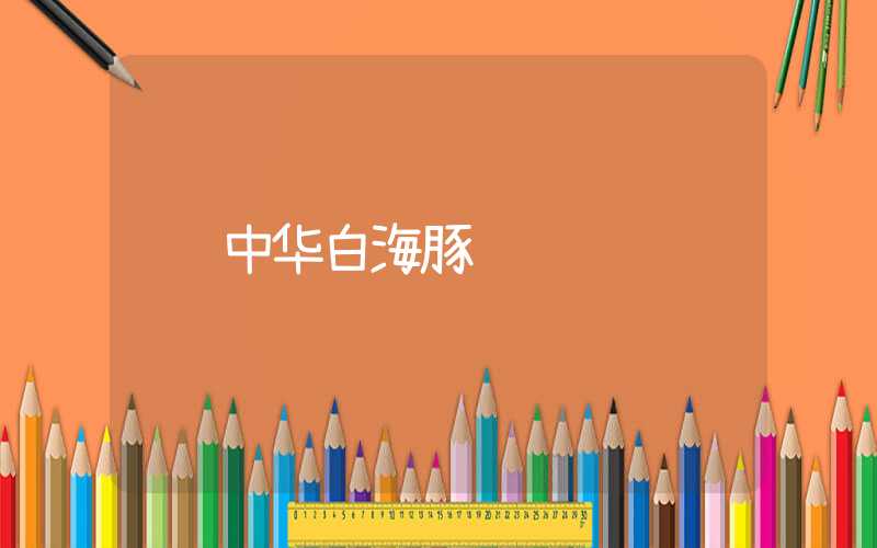 中华白海豚