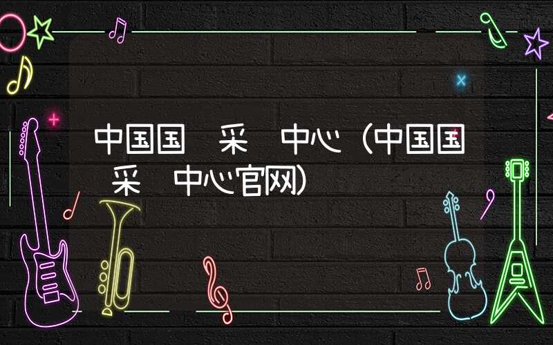 中国国际采购中心（中国国际采购中心官网）