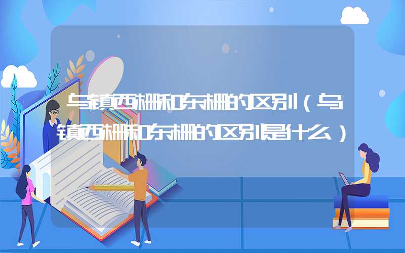 乌镇西栅和东栅的区别（乌镇西栅和东栅的区别是什么）