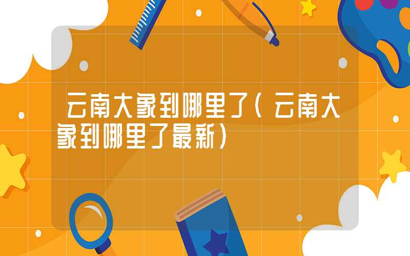 云南大象到哪里了(云南大象到哪里了最新)