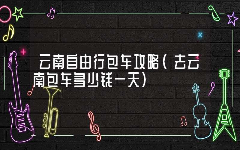 云南自由行包车攻略(去云南包车多少钱一天)