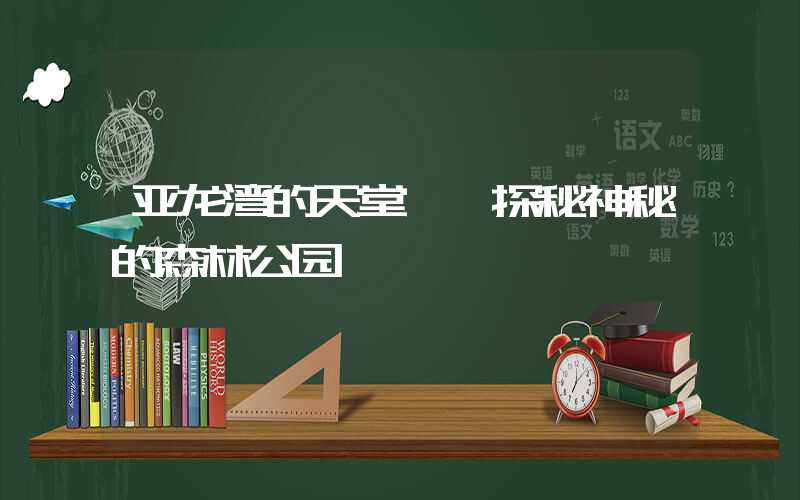 亚龙湾的天堂——探秘神秘的森林公园