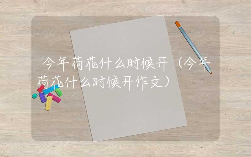 今年荷花什么时候开（今年荷花什么时候开作文）