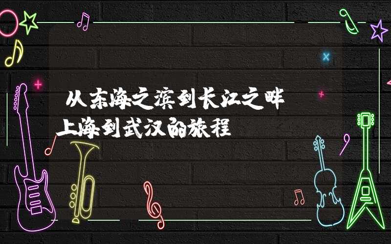从东海之滨到长江之畔——上海到武汉的旅程