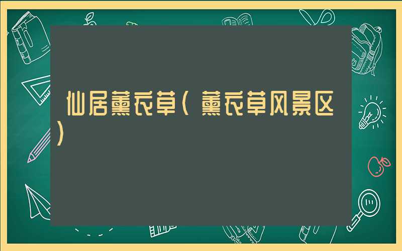 仙居薰衣草（薰衣草风景区）