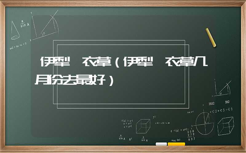 伊犁薰衣草（伊犁薰衣草几月份去最好）