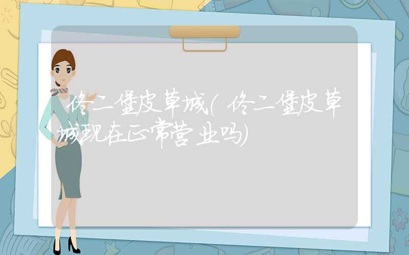 佟二堡皮草城（佟二堡皮草城现在正常营业吗）