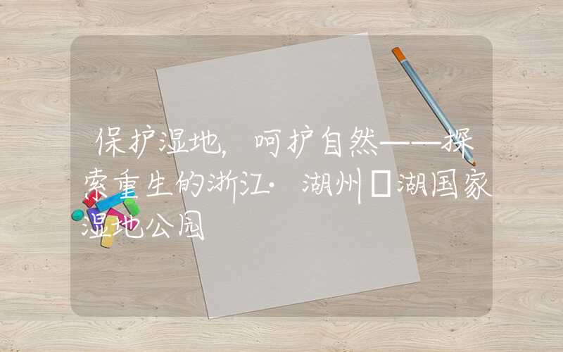 保护湿地，呵护自然——探索重生的浙江·湖州湚湖国家湿地公园
