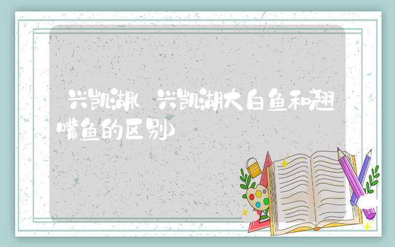 兴凯湖(兴凯湖大白鱼和翘嘴鱼的区别)