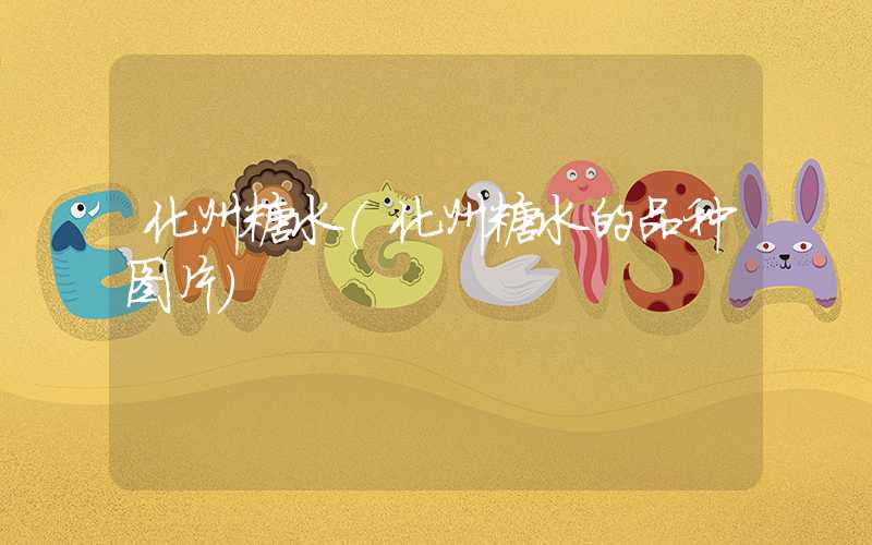 化州糖水(化州糖水的品种图片)