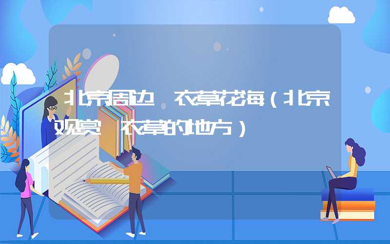 北京周边薰衣草花海（北京观赏薰衣草的地方）