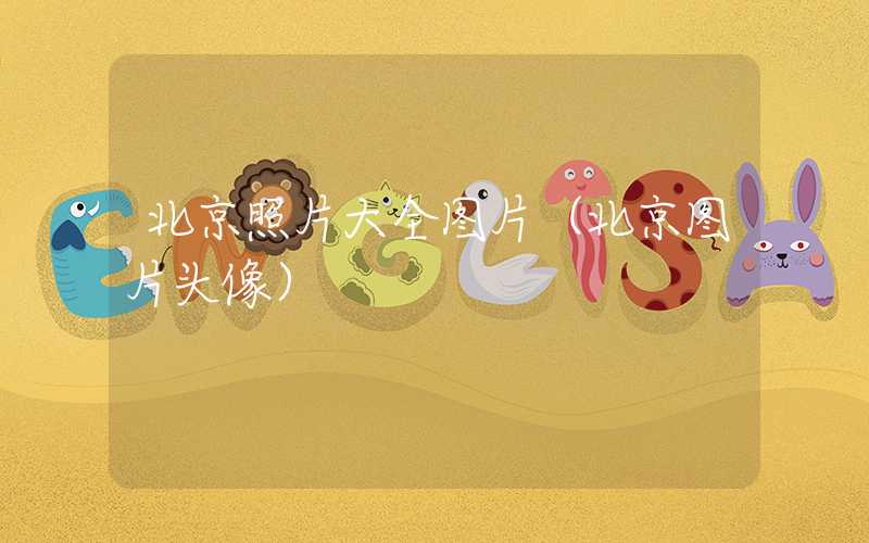 北京照片大全图片（北京图片头像）