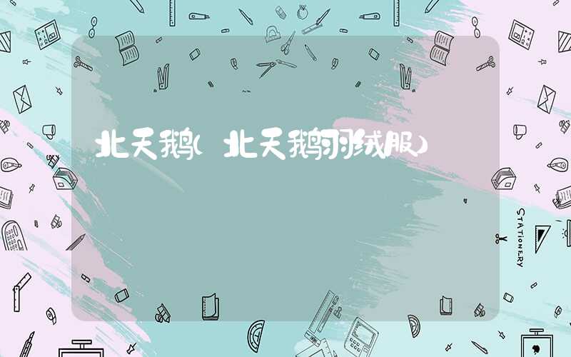 北天鹅（北天鹅羽绒服）