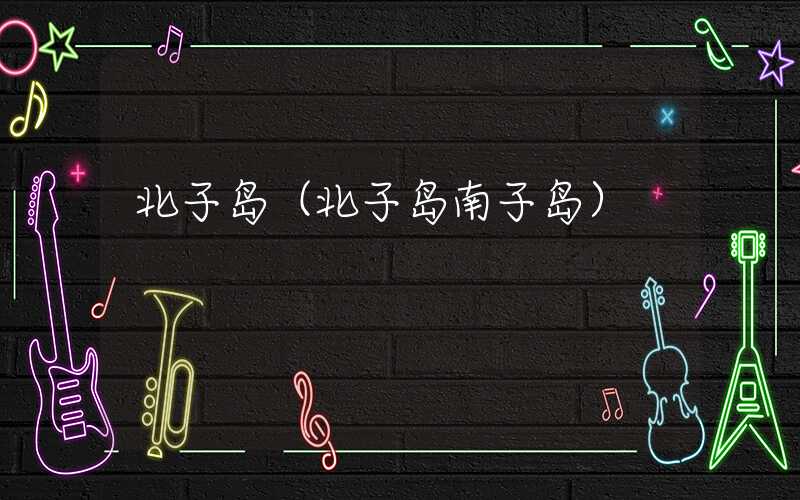北子岛（北子岛南子岛）