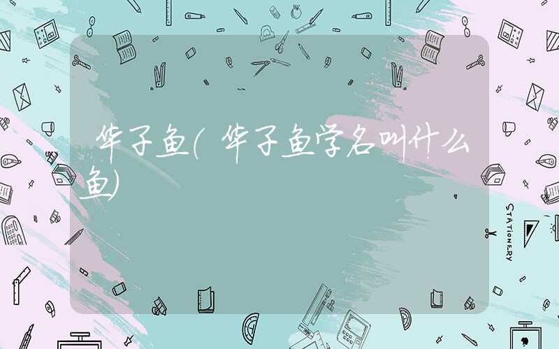 华子鱼(华子鱼学名叫什么鱼)