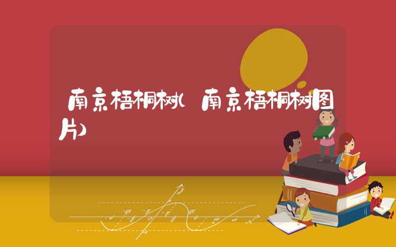 南京梧桐树（南京梧桐树图片）