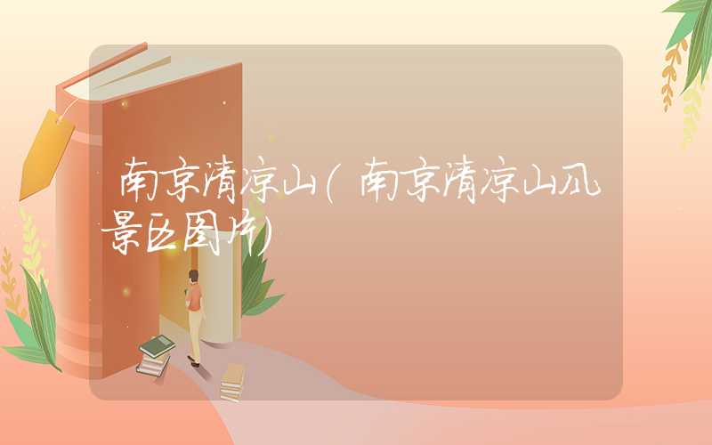 南京清凉山（南京清凉山风景区图片）