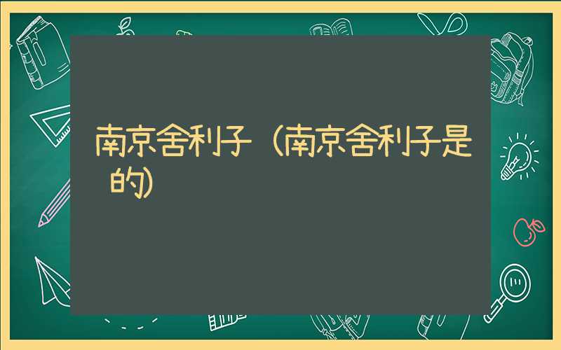 南京舍利子（南京舍利子是谁的）