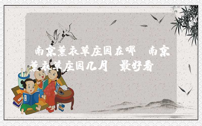 南京薰衣草庄园在哪（南京薰衣草庄园几月份最好看）