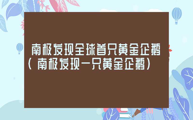 南极发现全球首只黄金企鹅（南极发现一只黄金企鹅）