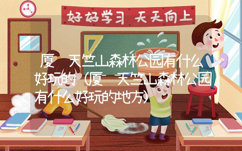 厦门天竺山森林公园有什么好玩的（厦门天竺山森林公园有什么好玩的地方）