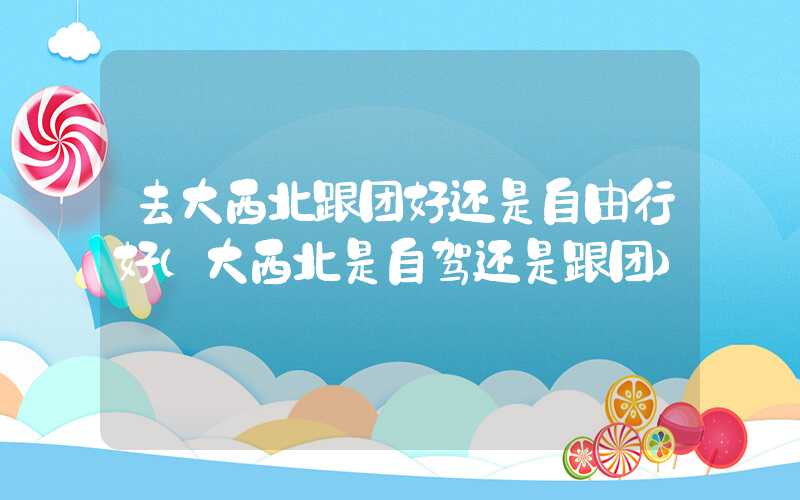去大西北跟团好还是自由行好（大西北是自驾还是跟团）