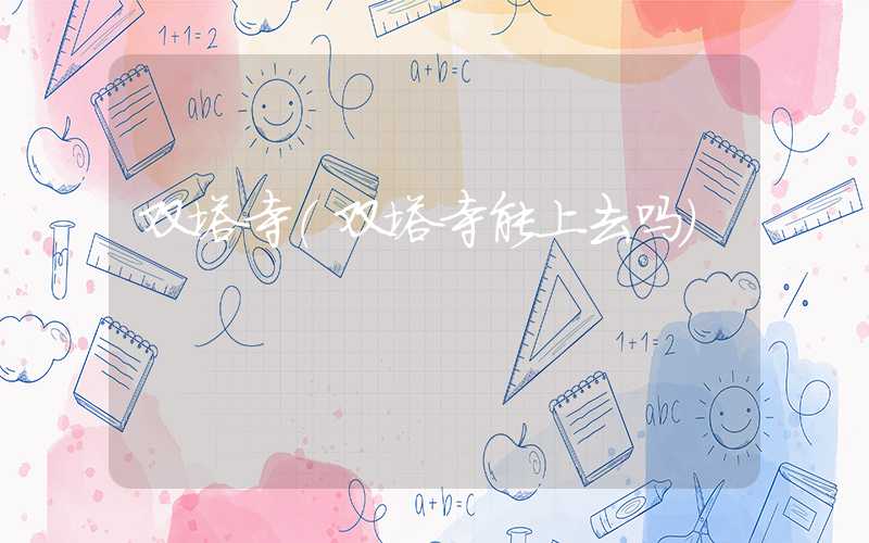 双塔寺（双塔寺能上去吗）